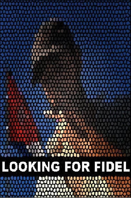 Poster for Looking for Fidel