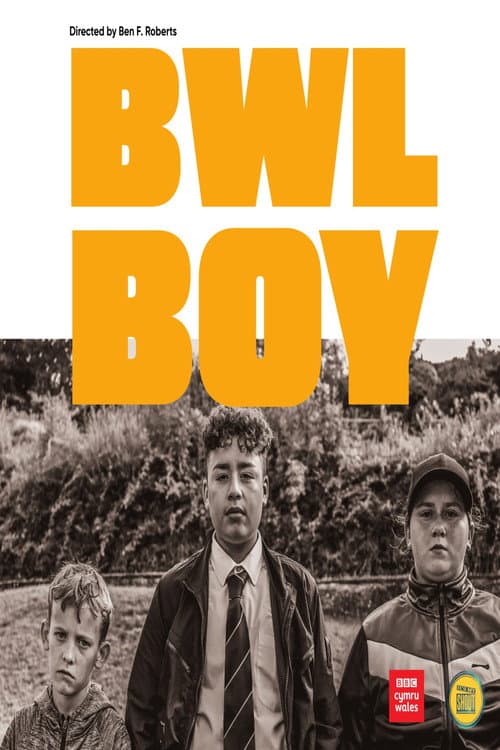 Poster for Bwl Boy