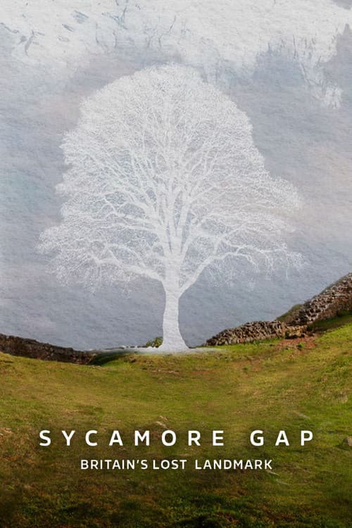 Poster for Sycamore Gap: Britain's Lost Landmark