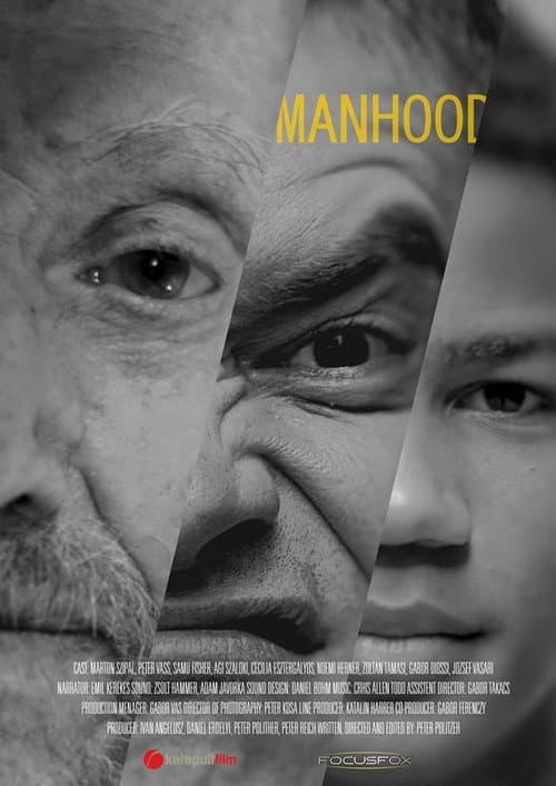 Poster for Manhood