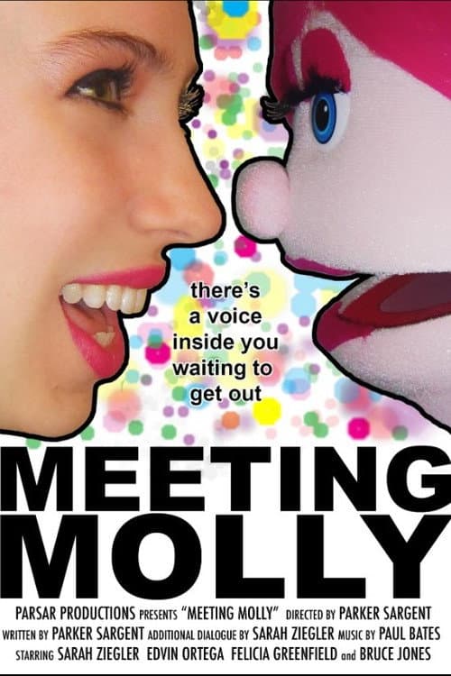 Poster for Meeting Molly