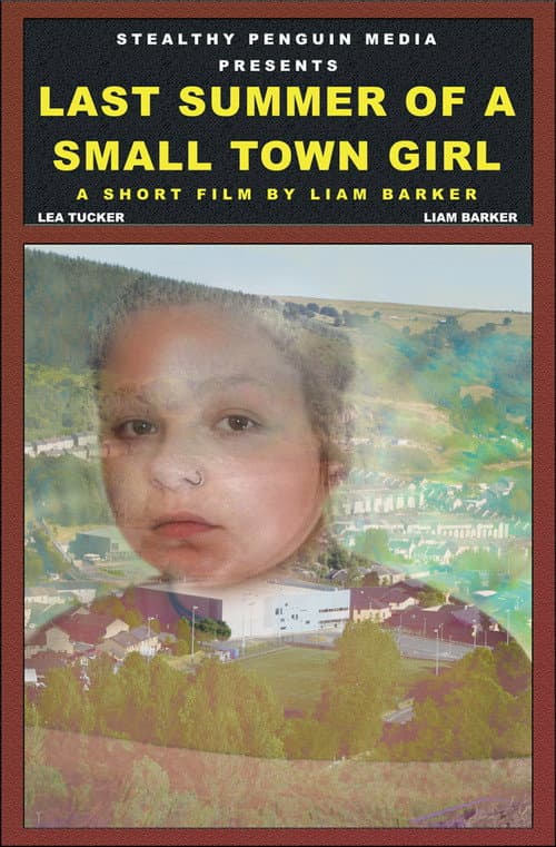 Poster for Last Summer Of A Small Town Girl