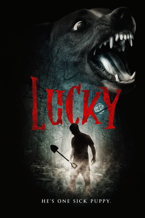 Poster for Lucky