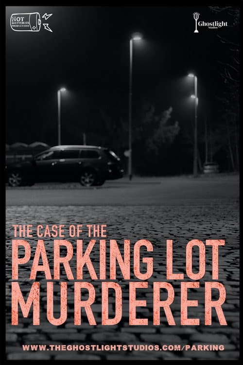 Poster for The Case of the Parking Lot Murderer