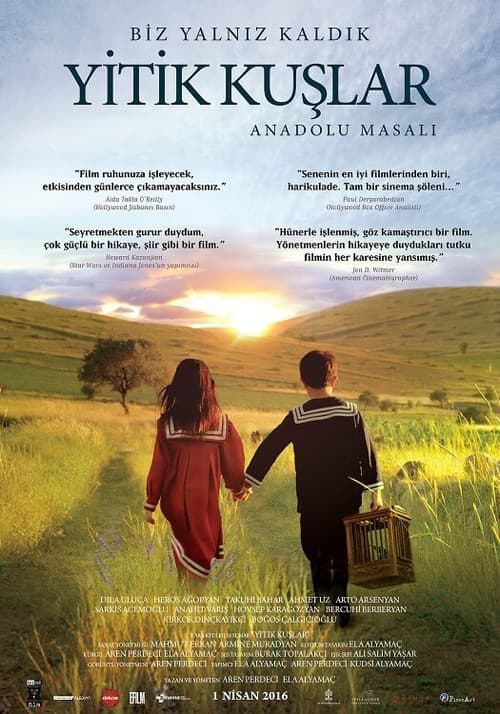 Poster for LOST BIRDS
