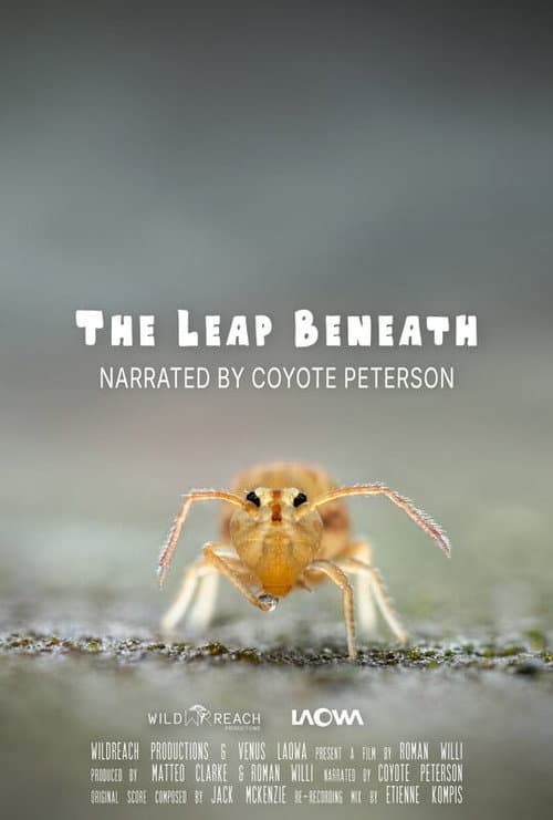Poster for The Leap Beneath