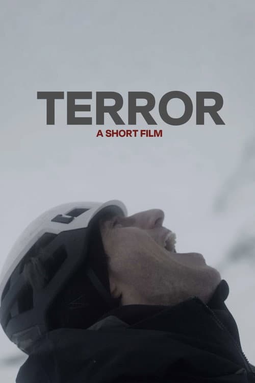 Poster for Terror