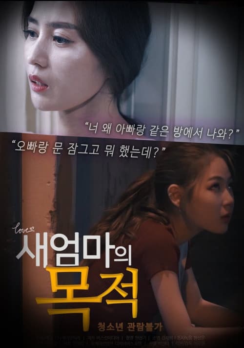 Poster for Stepmother's Purpose