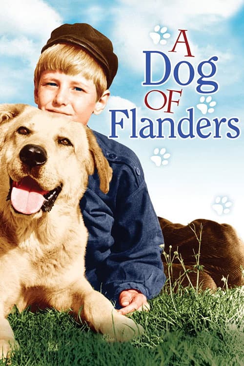 Постер до фільму «A Dog of Flanders»
