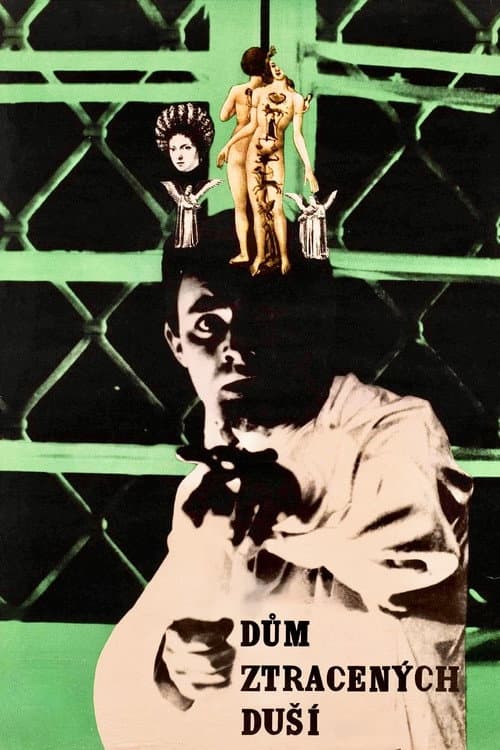 Poster for The House of Lost Souls