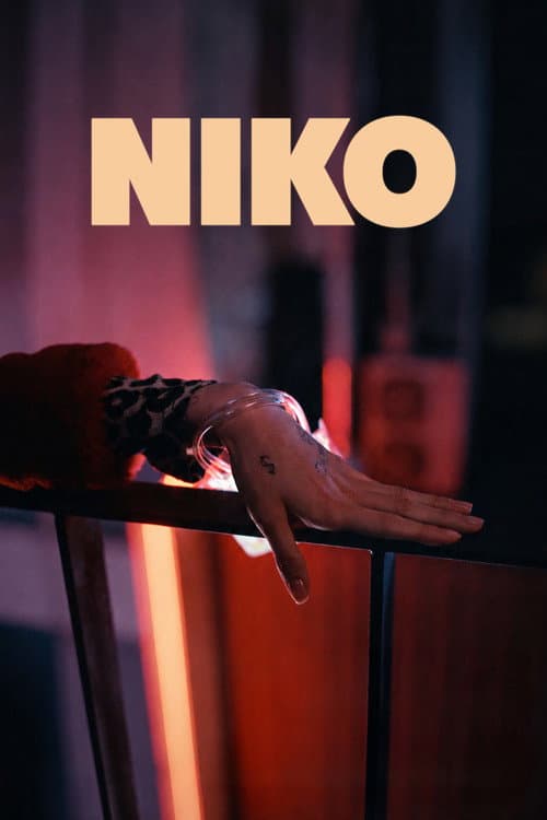 Poster for Niko