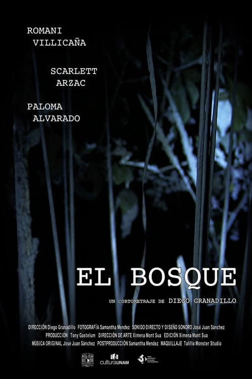 Poster for El Bosque