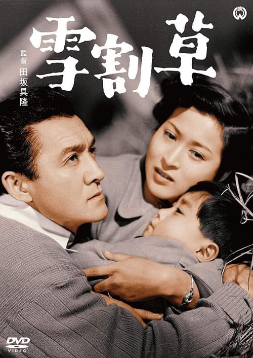 Poster for Yukiwarisō