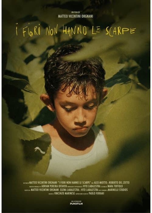 Poster for Flowers Wear No Shoes