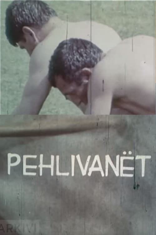 Poster for The Wrestlers