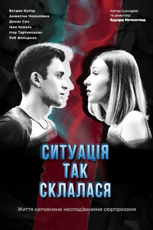 Poster for The Situation Is Like This