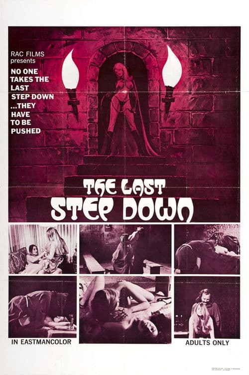 Poster for The Last Step Down