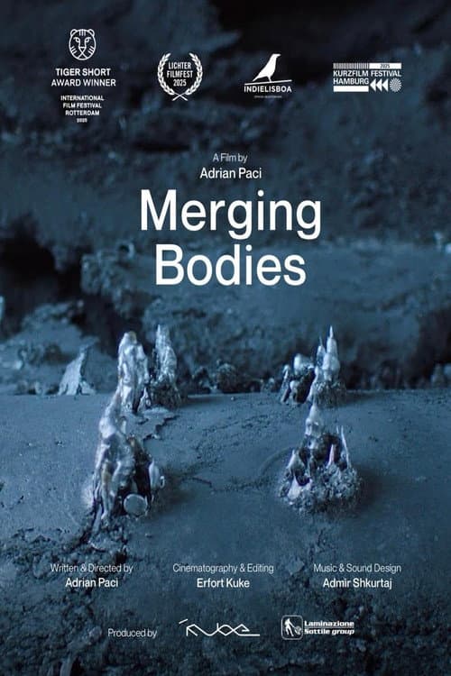 Poster for Merging Bodies