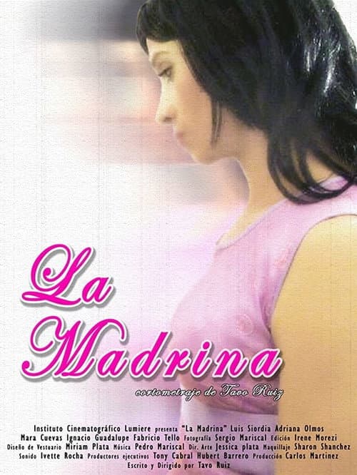 Poster for The Godmother