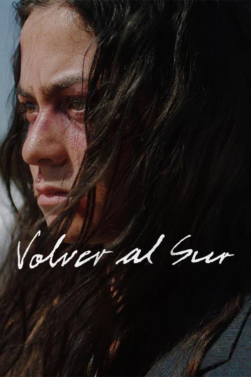 Poster for Returning South