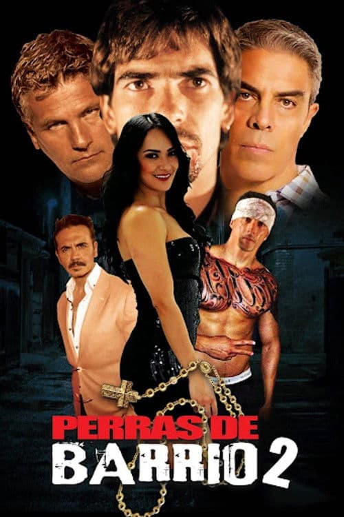 Poster for Perras de barrio 2