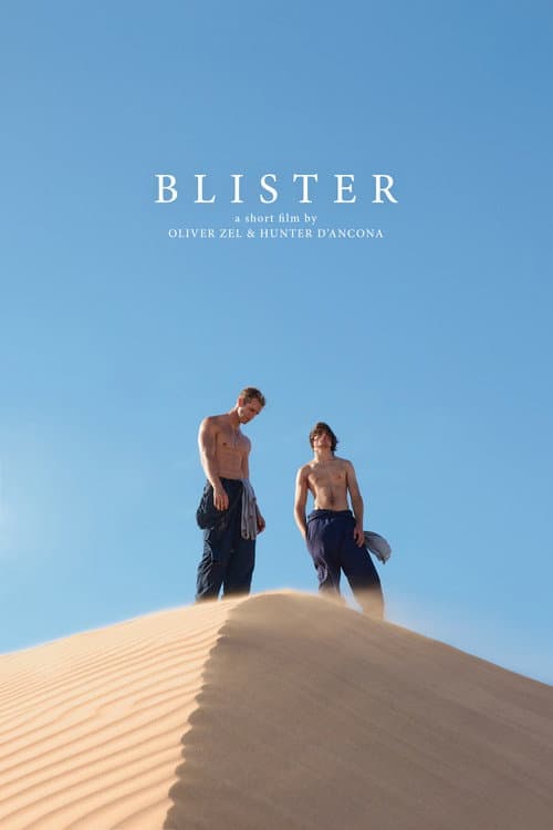Poster for Blister