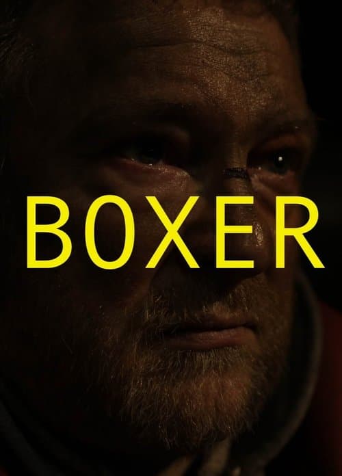 Poster for Boxer