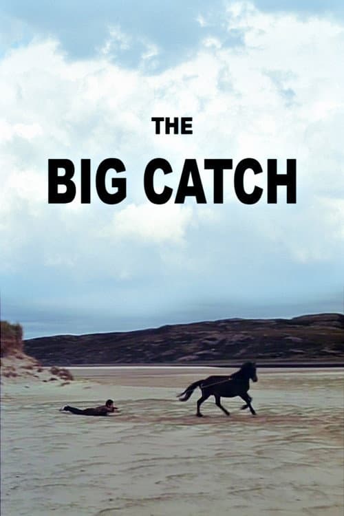 Poster for The Big Catch