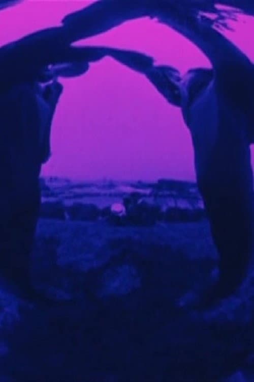 Poster for Looney Lens: Pas de deux