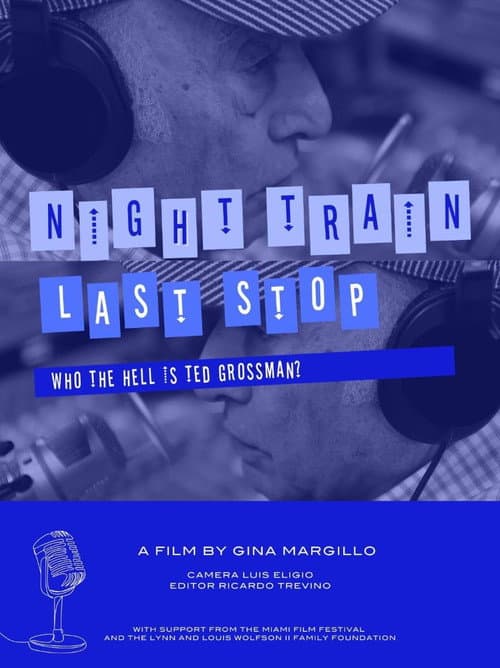 Poster for Night Train Last Stop