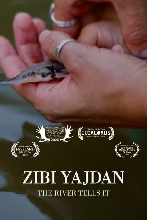 Poster for Zibi Yajdan