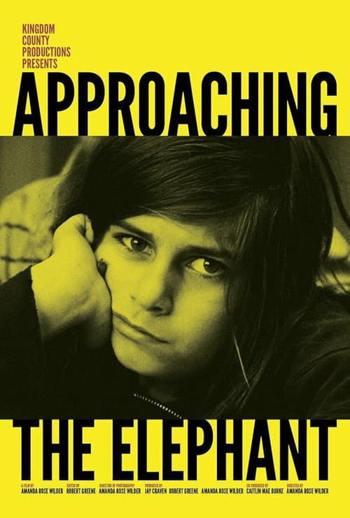 Poster for Approaching the Elephant