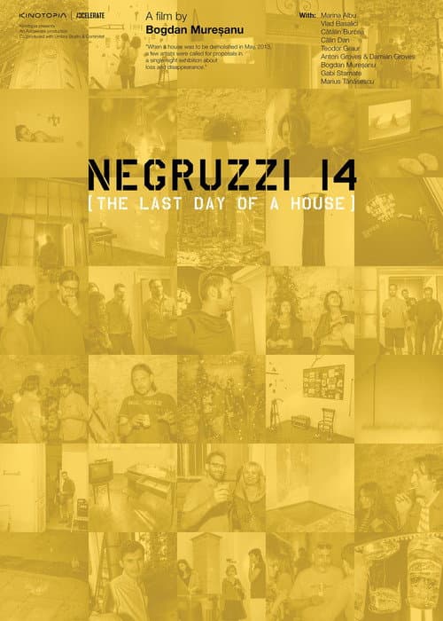 Poster for Negruzzi 14