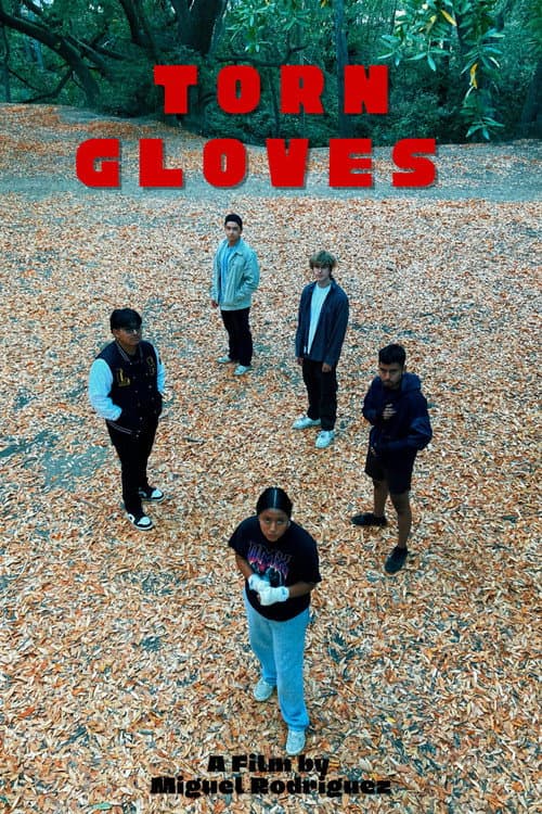Poster for Torn Gloves