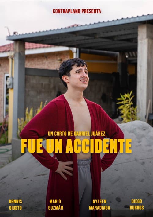 Poster for Fue un accidente