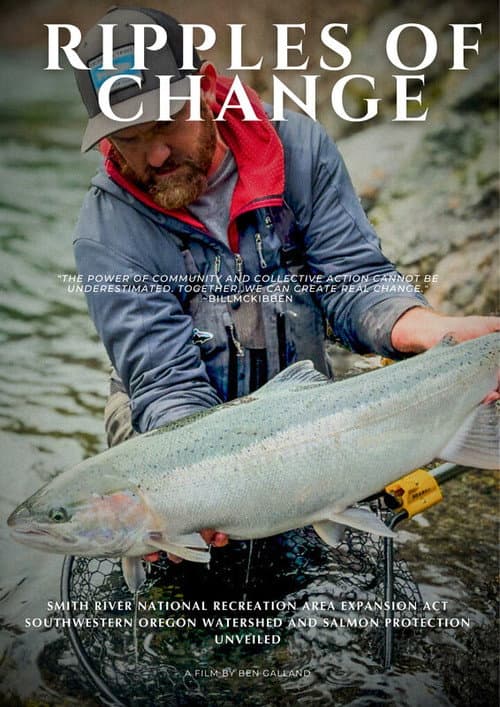 Poster for Ripples of Change
