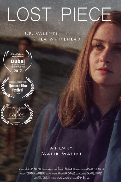 Poster for Lost Piece