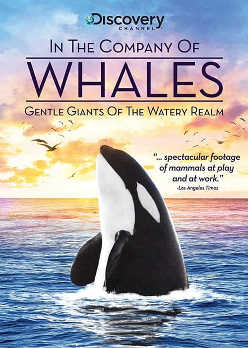 Постер до фільму «In the Company of Whales»