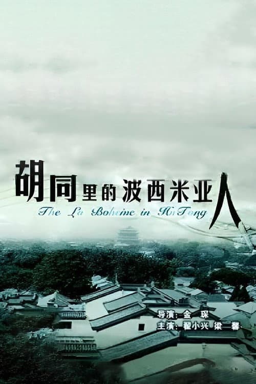 Poster for 胡同里的波西米亚人
