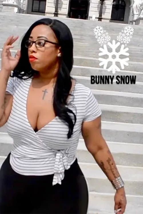 Poster for Bunny Snow