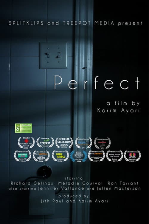 Poster for Perfect