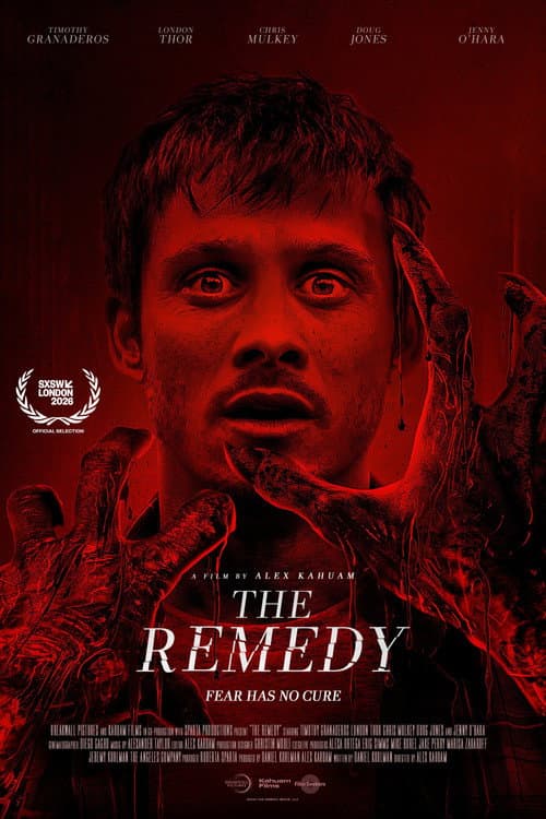 Poster for The Remedy