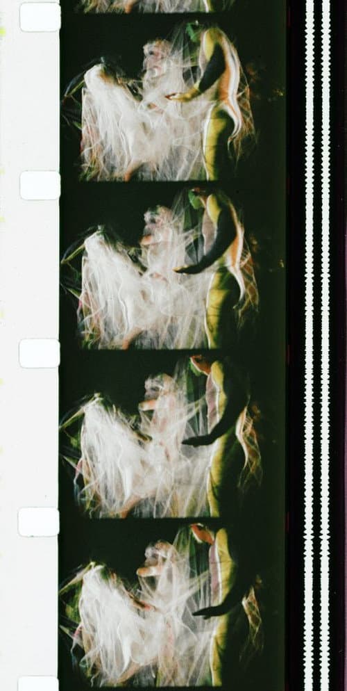 Poster for Chrysalis
