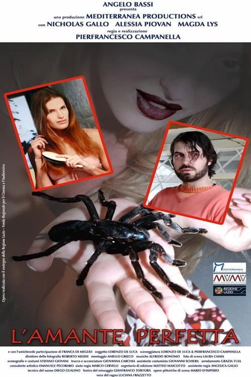 Poster for L'amante perfetta