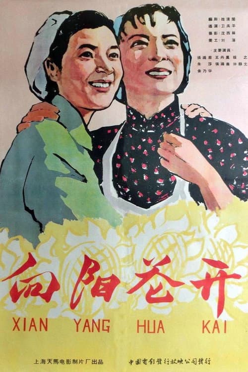 Poster for 向阳花开