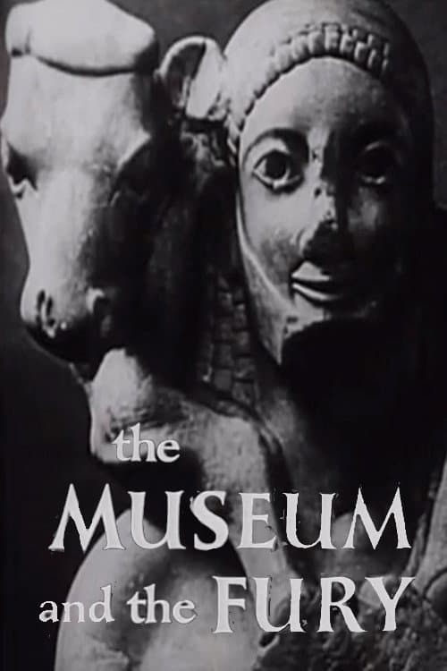Poster for The Museum and the Fury