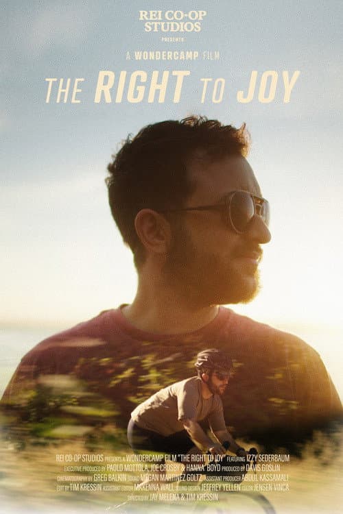 Poster for The Right to Joy