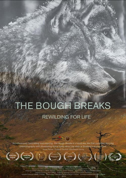 Poster for The Bough Breaks