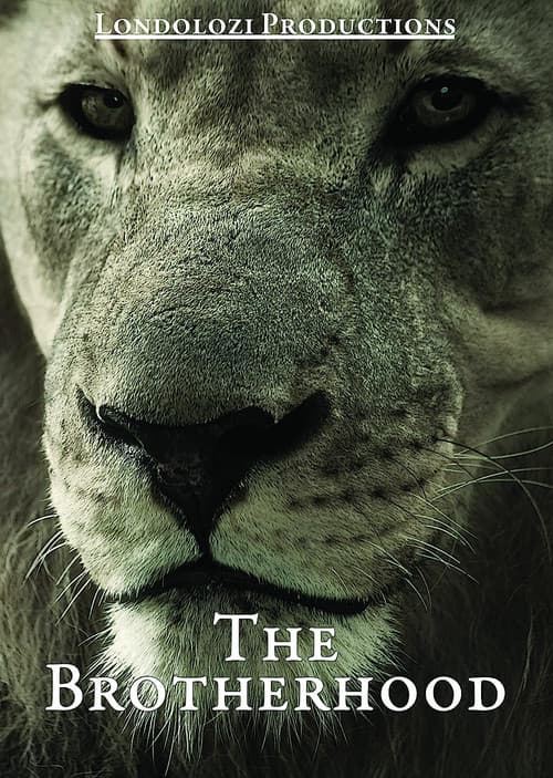 Poster for The Brotherhood