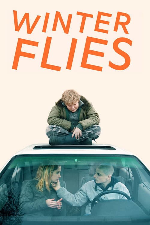 Poster for Winter Flies